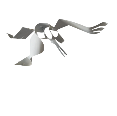 El vol elegant de l’agró blanc